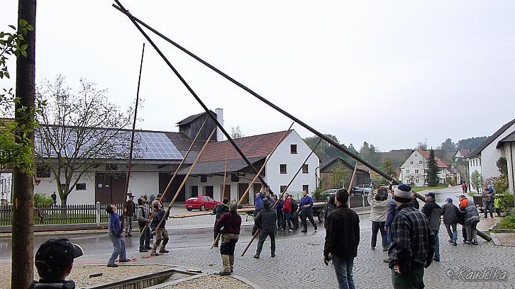 maibaum-aufstellen 2016 01 05 2016 10