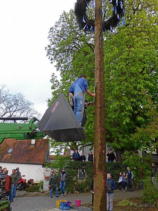 maibaum-aufstellen 2016 01 05 2016 17