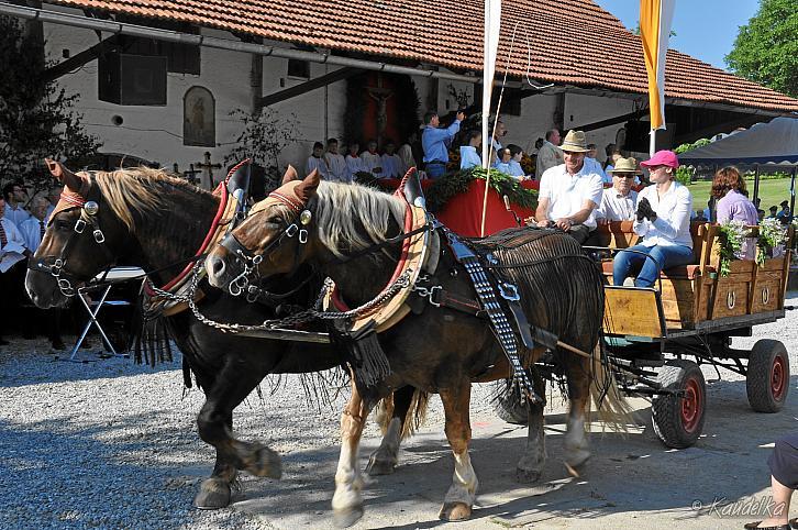 2014-07-06 ulrichsfest 2014 06 07 2014 09 07 15 f