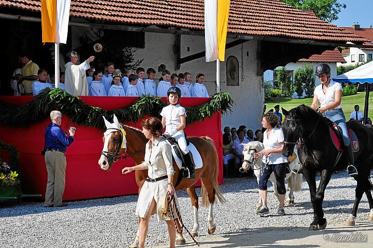 2015-07-05 ulrichsfest 2015 05 07 2015 09 15 46 f