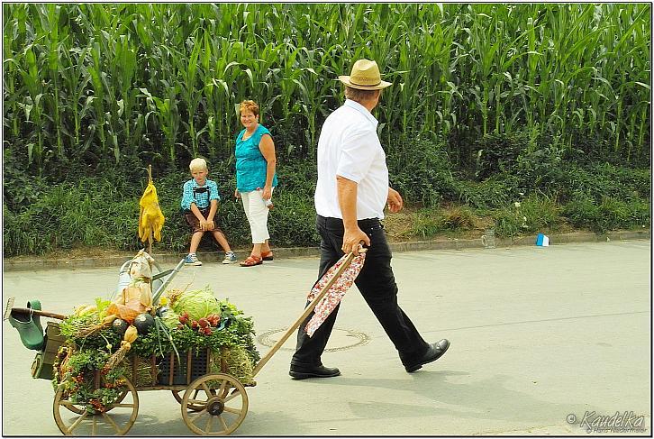 ffw-das fest-20.07.2014-15 32 15 hans niedermeier p1420