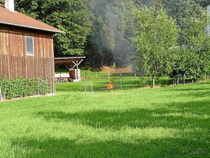 gemeinsame uebung nlb-olb 25 07 2009 14