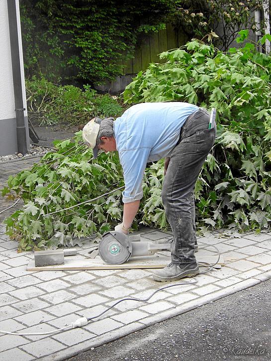 garteln am feuerwehrhaus 16 05 2009 11