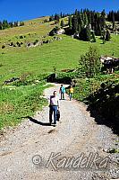 saengerausflug 2016 hinterriss kochelsee 24 09 2016 16