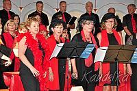 mmg benefizkonzert paf 2016 treffpunkt musik musik kennt keine grenzen 16 07 2016 33