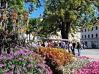 2015-09-19 gartenbauverein 2-tagesfahrt schloss trauttmannsdorf bei meran 19 09 2015 11 25 13 p