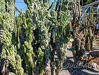 2015-09-20 gartenbauverein 2-tagesfahrt schloss trauttmannsdorf bei meran 20 09 2015 10 58 16 b