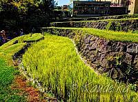 2015-09-20 gartenbauverein 2-tagesfahrt schloss trauttmannsdorf bei meran 20 09 2015 11 37 32 b