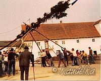 maibaum-aufstellen aus alten tagen 13
