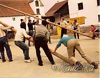 maibaum-aufstellen aus alten tagen 14