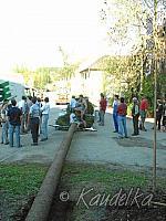 2005-05-01 maibaum aufstellen 003 01 05 2005 a