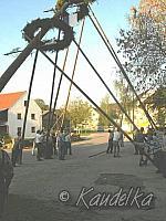 2005-05-01 maibaum aufstellen 064 01 05 2005 a