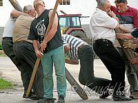 2005-05-01 maibaum aufstellen 079 01 05 2005 18 07 20 a