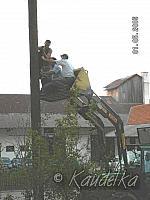 2005-05-01 maibaum aufstellen 092 01 05 2005 a