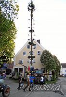 2007-05-01 maibaum aufstellen 01 05 2007 19 17 23 b