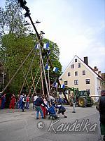 2008-04-30 maibaum-aufstellen 2008 30 04 2008 17 48 58 a