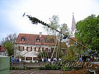 2008-04-30 maibaum-aufstellen 2008 30 04 2008 17 52 07 a