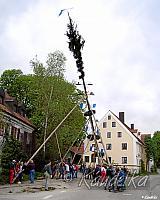 2008-04-30 maibaum-aufstellen 2008 30 04 2008 18 01 08 pressefoto2