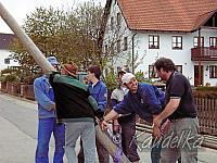 2008-04-30 maibaum-aufstellen 2008 30 04 2008 18 02 14 b
