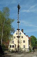 2008-05-01 maibaum-aufstellen 2008 01 05 2008 08 57 40 pressefoto3