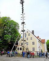 2010-05-01 maibaum-aufstellen 2010 01 05 2010 19 07 42 b