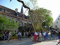 2012-05-01 maibaum-aufstellen 2012 01 05 2012 18 17 42 c