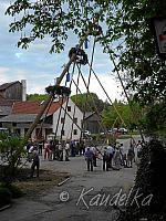 2012-05-01 maibaum-aufstellen 2012 01 05 2012 19 49 14 c
