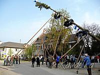 2013-05-01 maibaum-aufstellen 2013 01 05 2013 18 02 24 c