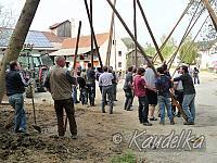 2013-05-01 maibaum-aufstellen 2013 01 05 2013 18 24 22 q