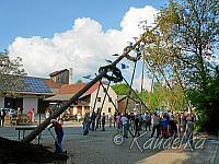 2014-04-17 maibaum-aufstellen 2014 17 04 2014 16 59 34 c