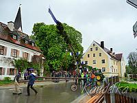 2015-05-01 maibaum-aufstellen 2015 01 05 2015 17 23 16 p