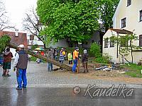 2015-05-01 maibaum-aufstellen 2015 01 05 2015 17 23 59 f