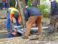2015-05-01 maibaum-aufstellen 2015 01 05 2015 19 04 04 f
