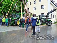 2015-05-01 maibaum-aufstellen 2015 01 05 2015 19 09 57 p