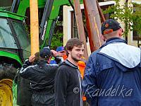 2015-05-01 maibaum-aufstellen 2015 01 05 2015 19 10 18 p