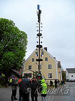 2015-05-01 maibaum-aufstellen 2015 01 05 2015 19 33 54 d