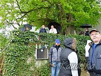 maibaum-aufstellen 2016 01 05 2016 15