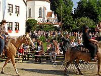 2008-07-06 ulrichsfest 2008 06 07 2008 08 43 54 b