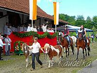 2011-07-10 ulrichsfest 2011 10 07 2011 08 49 59 c