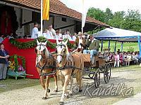 2012-07-08 ulrichsfest 2012 08 07 2012 09 16 44 f