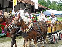 2012-07-08 ulrichsfest 2012 08 07 2012 09 17 40 f