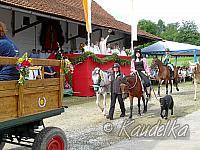 2012-07-08 ulrichsfest 2012 08 07 2012 09 17 46 f