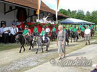 2012-07-08 ulrichsfest 2012 08 07 2012 09 18 08 f