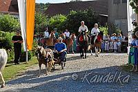 2014-07-06 ulrichsfest 2014 06 07 2014 08 54 34 f
