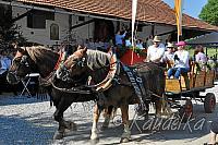 2014-07-06 ulrichsfest 2014 06 07 2014 09 07 15 f