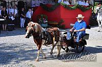 2014-07-06 ulrichsfest 2014 06 07 2014 09 08 15 p