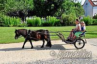 2015-07-05 ulrichsfest 2015 05 07 2015 08 47 38 f