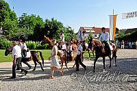2015-07-05 ulrichsfest 2015 05 07 2015 08 53 47 d