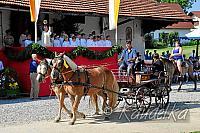 2015-07-05 ulrichsfest 2015 05 07 2015 09 15 57 f