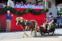 2015-07-05 ulrichsfest 2015 05 07 2015 09 16 07 p